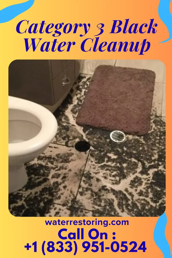 Category 3 Black Water Cleanup in Glen Carbon, IL